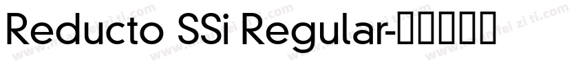 Reducto SSi Regular字体转换